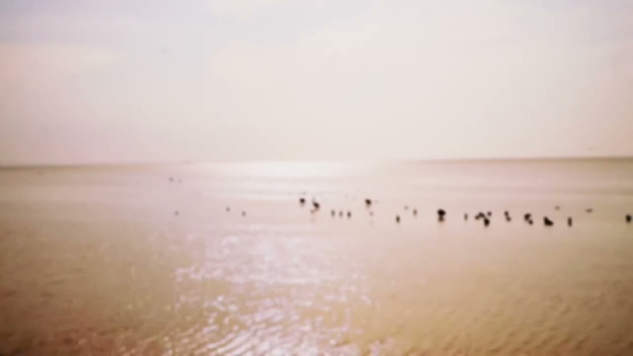 City Of Dawn & Eddy Ruyter - Silfira