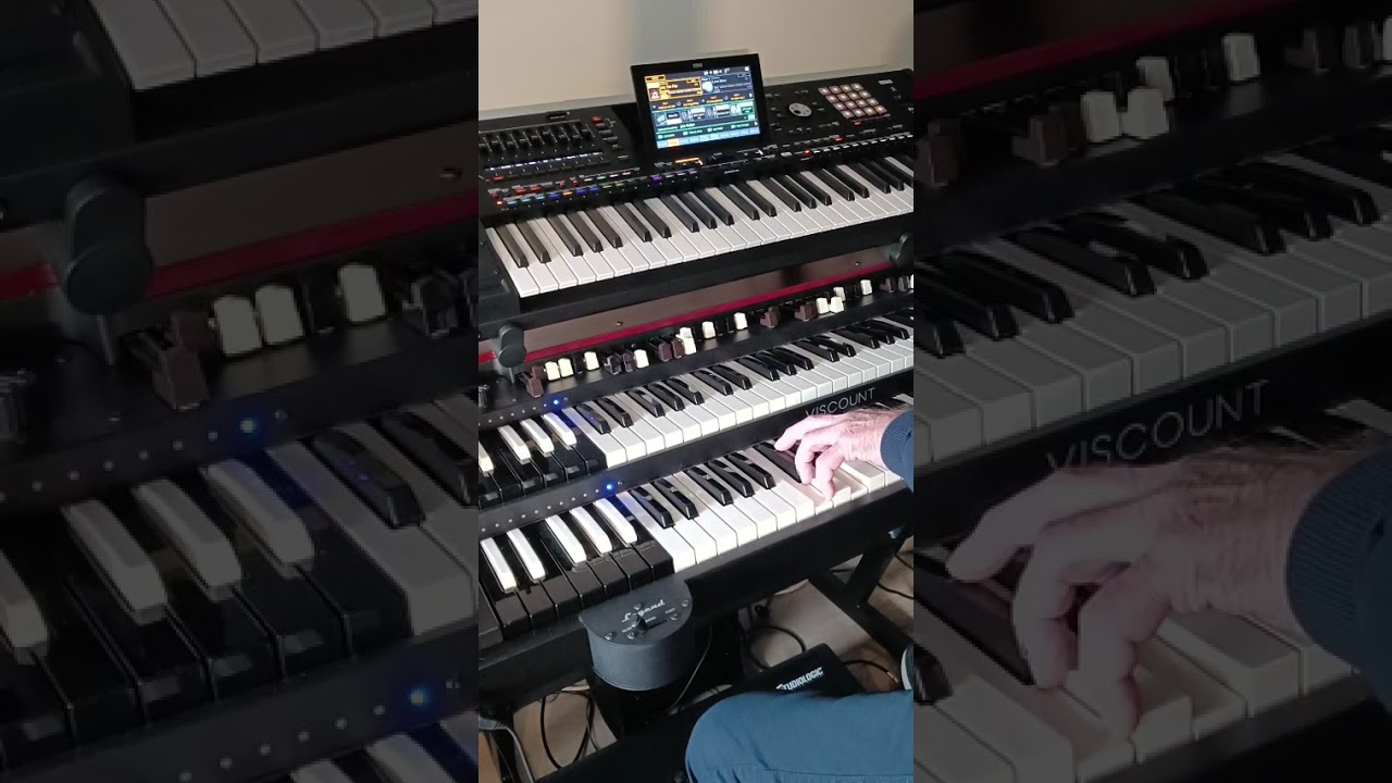 Sweet Georgie Brown on Viscount Legend Soul 273 & Korg Pa5X by Vedant Meyran from Holland 