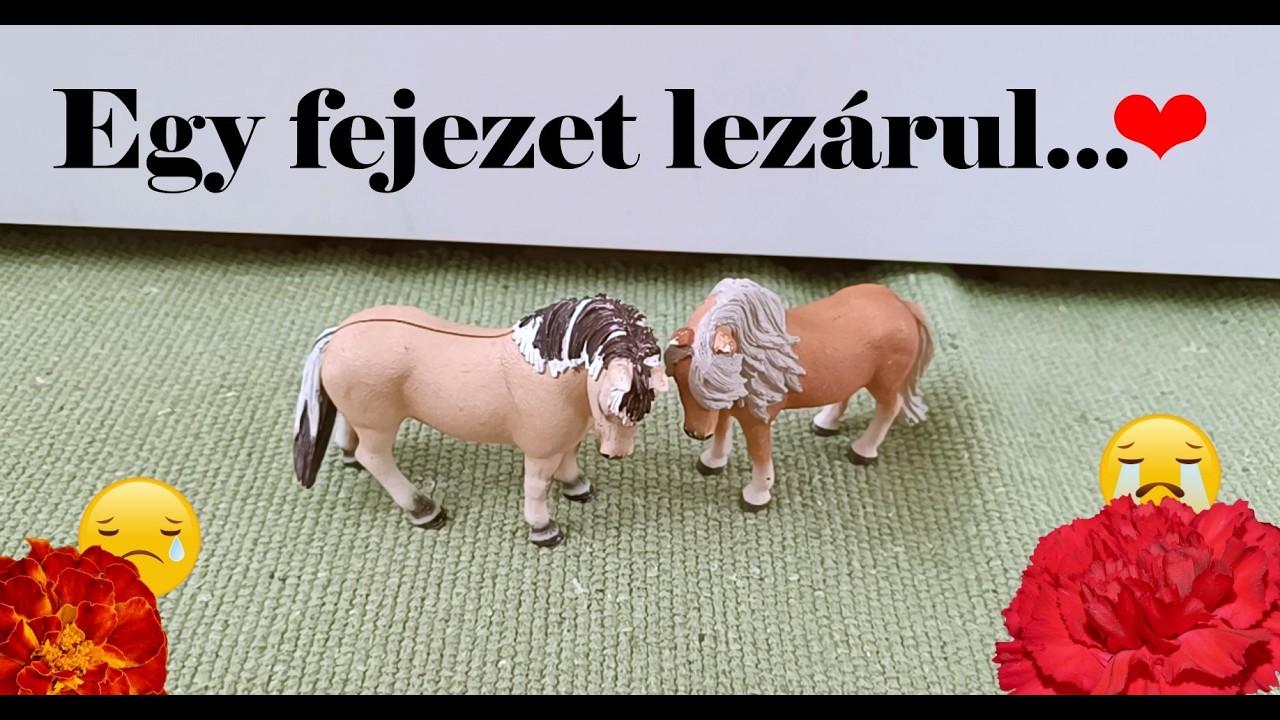 ❤️Mi van a kamerák mögött - Egy fejezet lezárul😓❤️