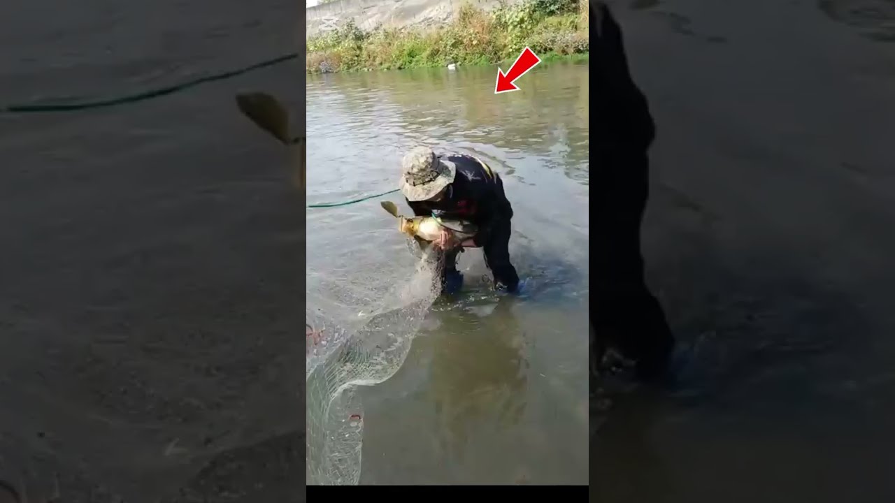 👉👍🦈Cast Net Fishing, River Fishing,Hand Fishing , Night Fishing 
