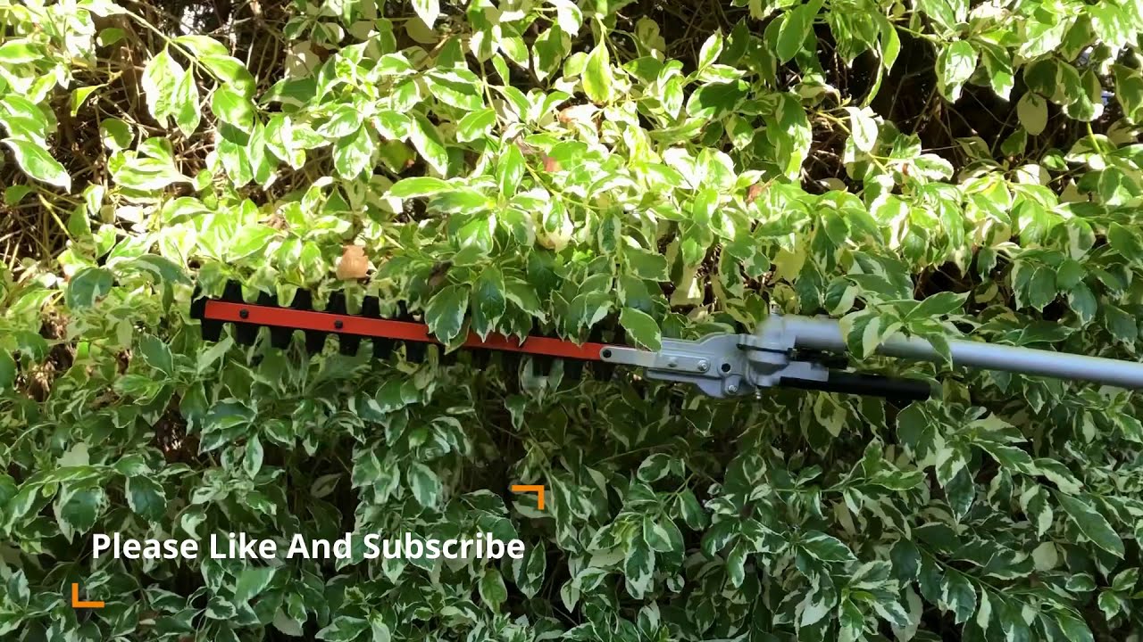 Sunseeker MFT26I Hedge Trimmer Attachment On Greenworks String Trimmer & Surprise Cat