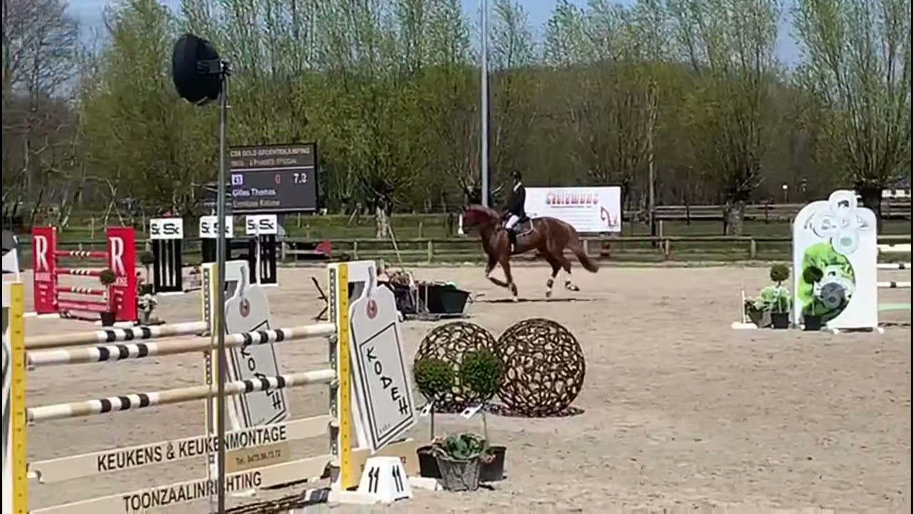 Ermitage kalone (Catoki x Kannan) @1m35 groentenjumping