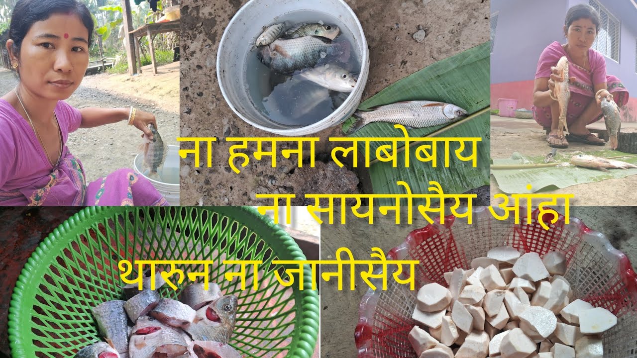 ना हमना लाबोबाय// ना सायनोसैय आंहा // थारुन ना जानीसैय दिनैय लोगोफोर 😋🤗✅️