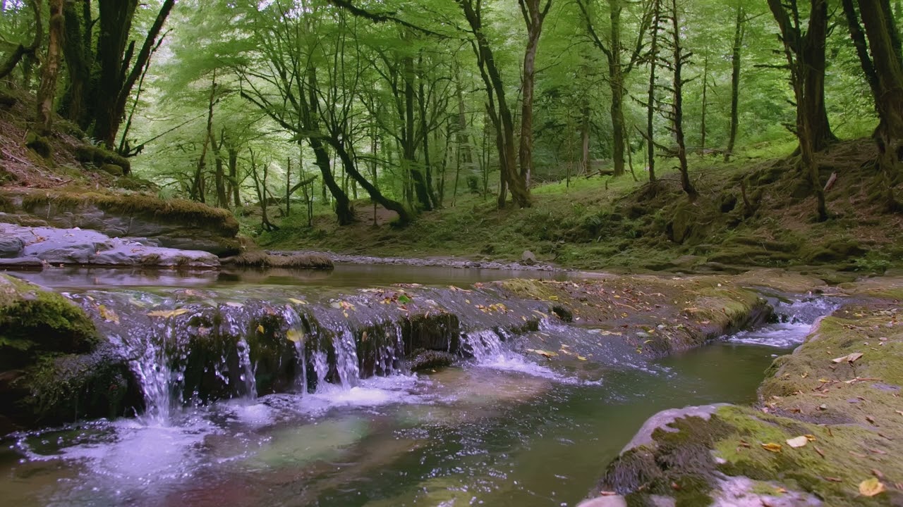 Proverbs 14 (KJV)|Singlogos