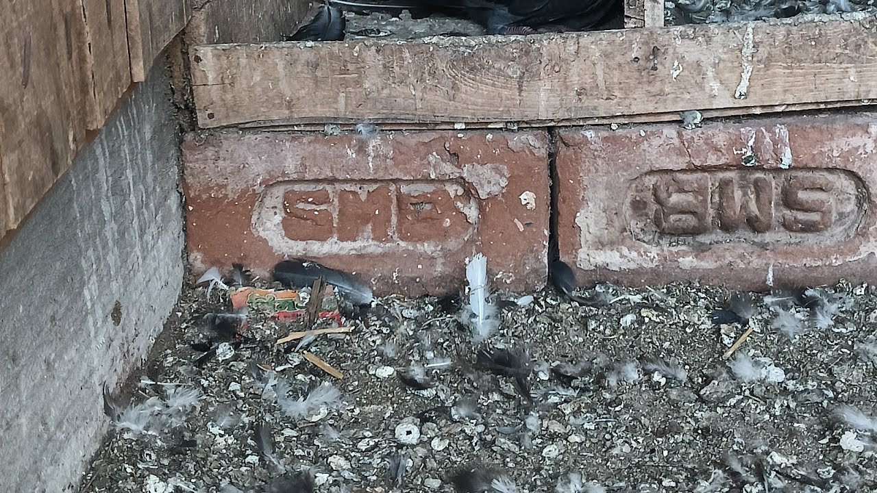 -