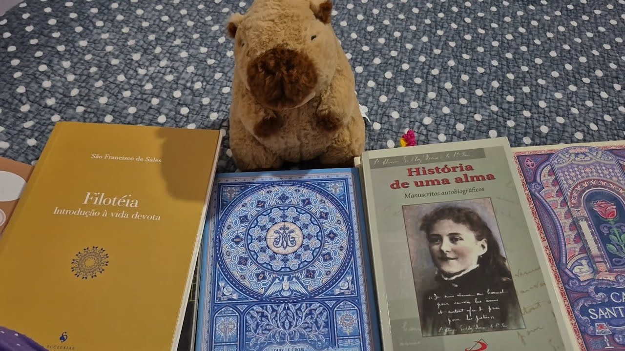 ASMR roleplay- você pediu um livro emprestado para a sua amiga católica ✨️🤍 