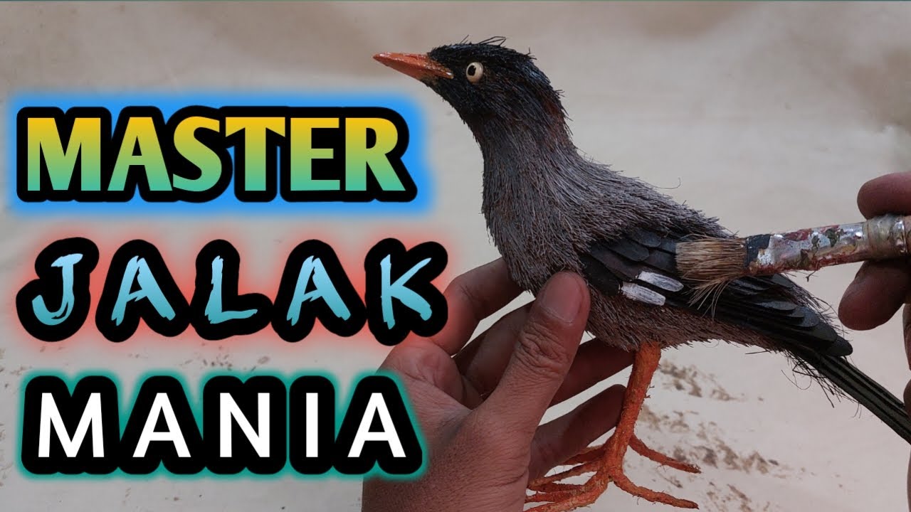 Kerajinan burung JALAK KEBO dari sabut kelapa