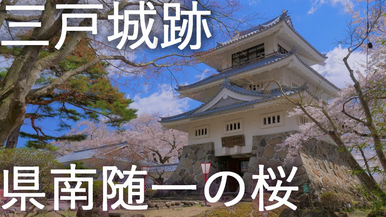 【三戸城跡】城山公園 県南随一の桜【青森県三戸町】4K60P