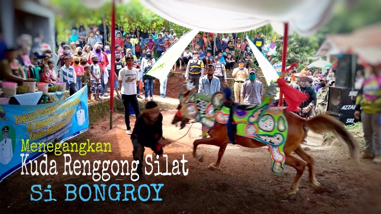 Kuda Renggong Silat Si Bongroy AKB | Dancing Horse