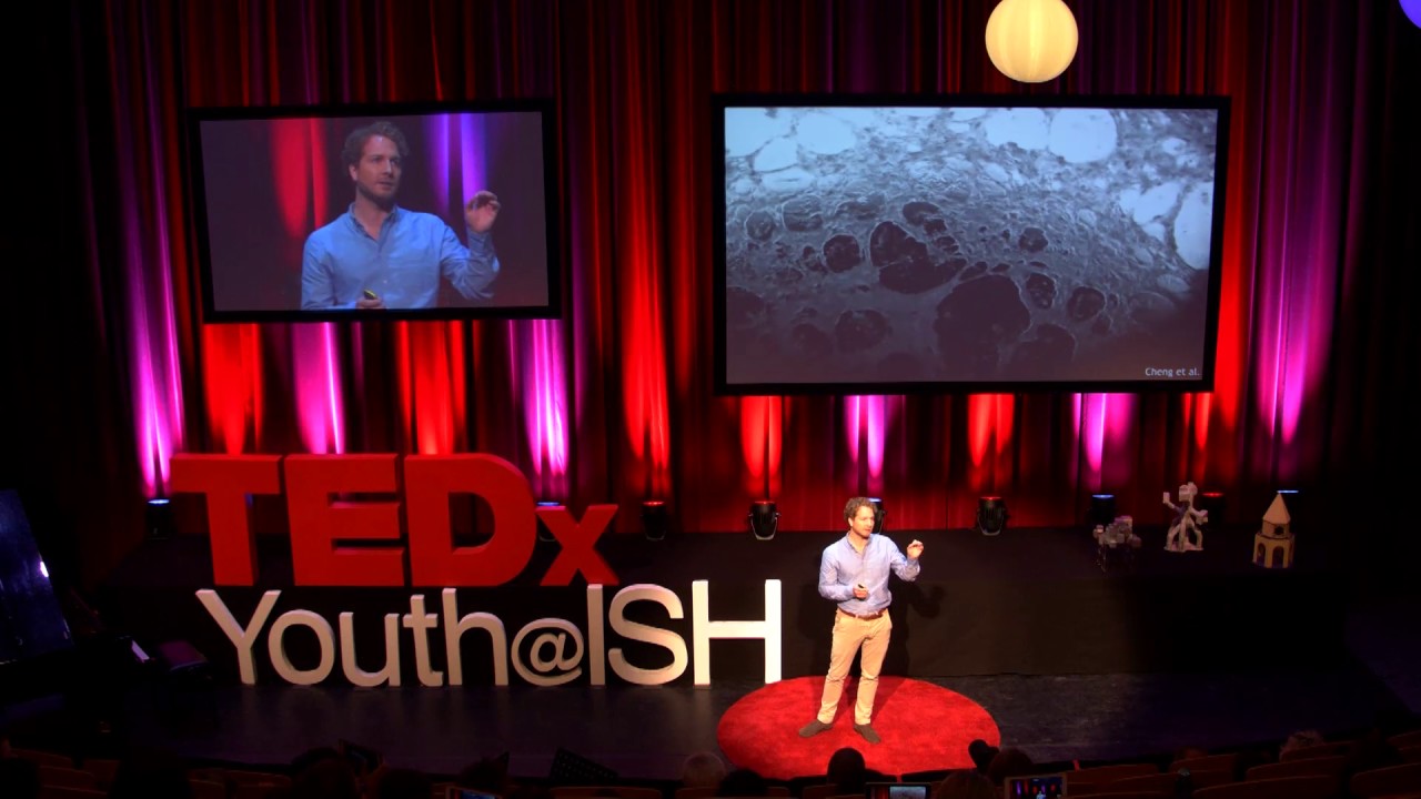 Organ-on-chips: the power of combination | Berend van Meer | TEDxYouth@ISH