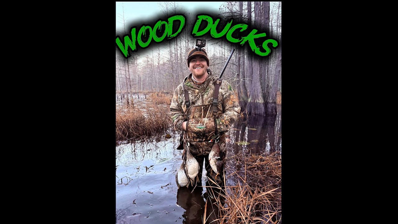 WOOD DUCKS | Ep.5