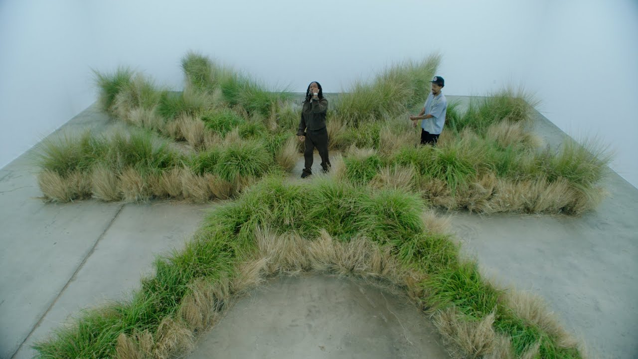 MAVI - Landgrab feat. Earl Sweatshirt (Official Video)
