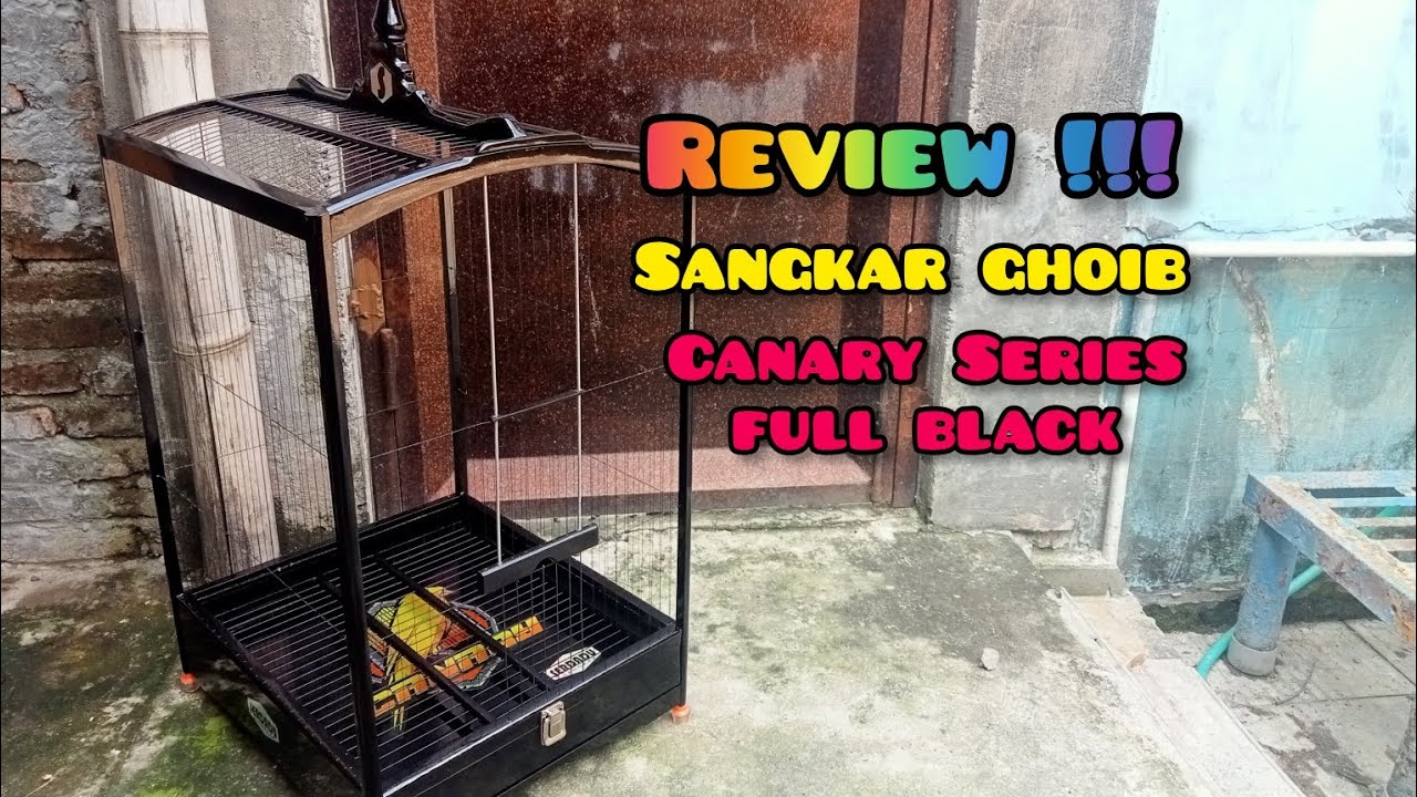 Review !!! Sangkar kenary ruji ghoib full black @SerdaduSangkar