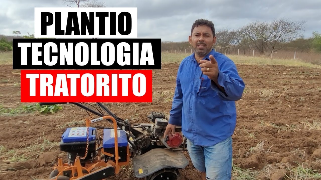 Plantando Milho com Tratorito e Plantadeira no Sertão – Alta Produtividade na Roça!