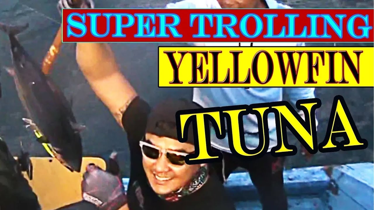 My Yellowfin Tuna | Part 1