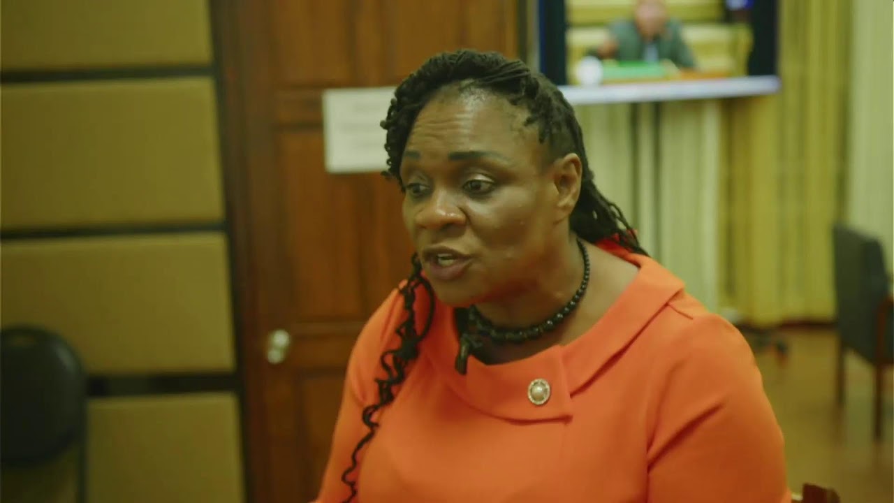 In Conversation with Hon. Coretta McDonald, M.P.