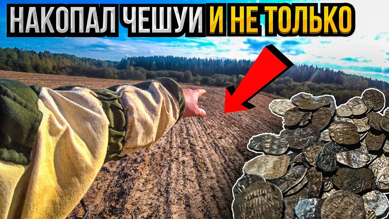Как находят старинные монеты и чешую металлоискателем