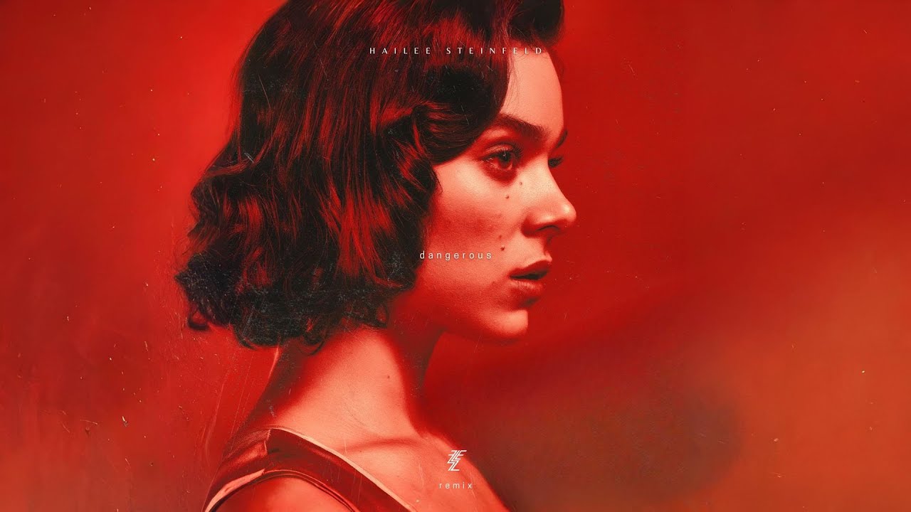 Hailee Steinfeld - Dangerous (Fletz Remix)
