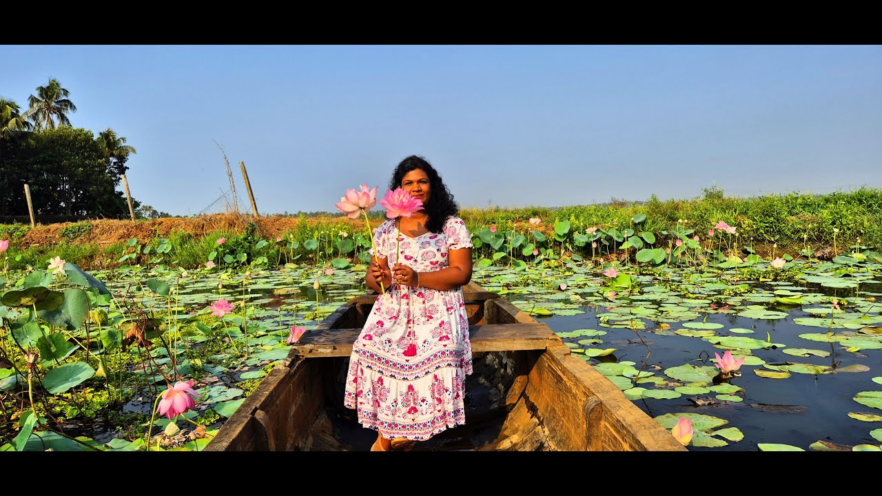 ഇത്ര മനോഹരമായ സ്ഥലം നമ്മുടെ തൃശ്ശൂർ ഉണ്ടോ| Lotus Field | Pullu Padam | Thrissur | Kerala travel vlog