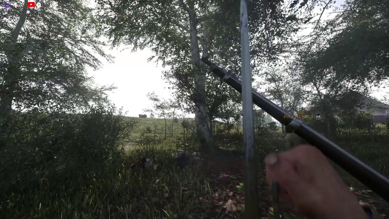 Fighting for the South
