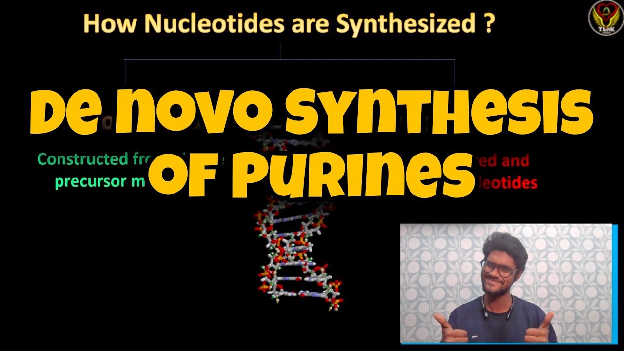 De novo Synthesis of Purines 🧬 | Tamil | Nucleotide | Adenine Guanine|mol-bio | DNA | ThiNK BIOLOGY