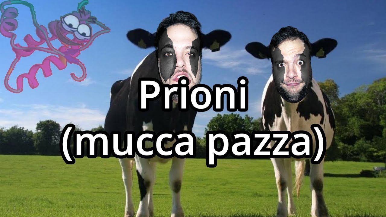 PRIONI - - Spiegazione