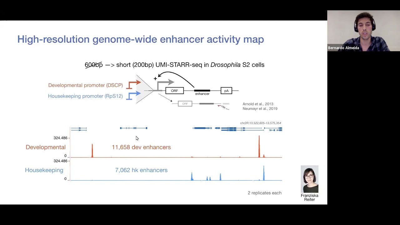 The latest advances in studying gene expression regulation