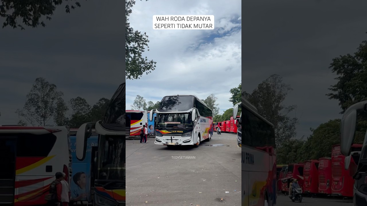 Bus laju prima ganteng banget ini