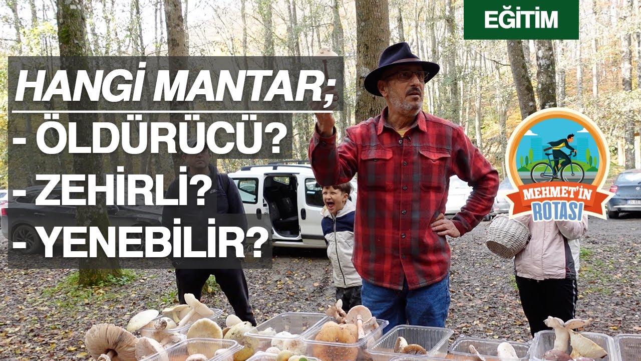 Jilber Barutçiyan ile Mantar Eğitimi 🍄 - Mehmet'in Rotası