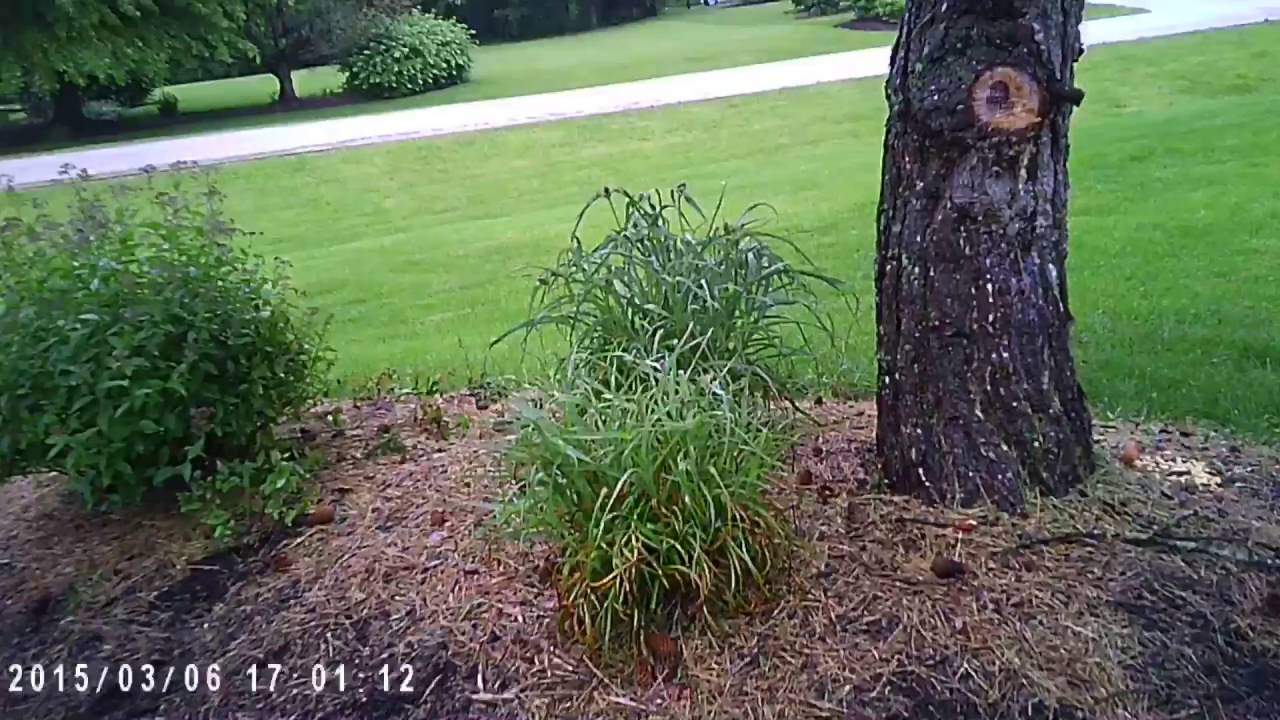 Ukryta kamera szpiegowska w długopisie