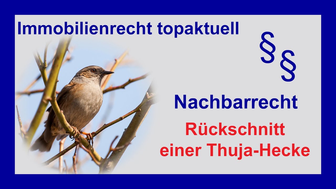 Nachbarschaftsstreit Grenzbewuchs - Thuja-Hecke zurückschneiden| Tutorial | Nachbarrecht
