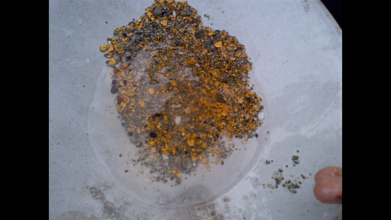 Alluvial Gold Exploration Rompin, Pahang, Malaysia .3