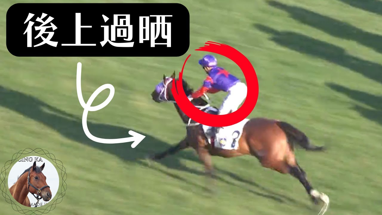 上半季十大後上馬！匹匹都裝晒摩打咁！｜香港賽馬
