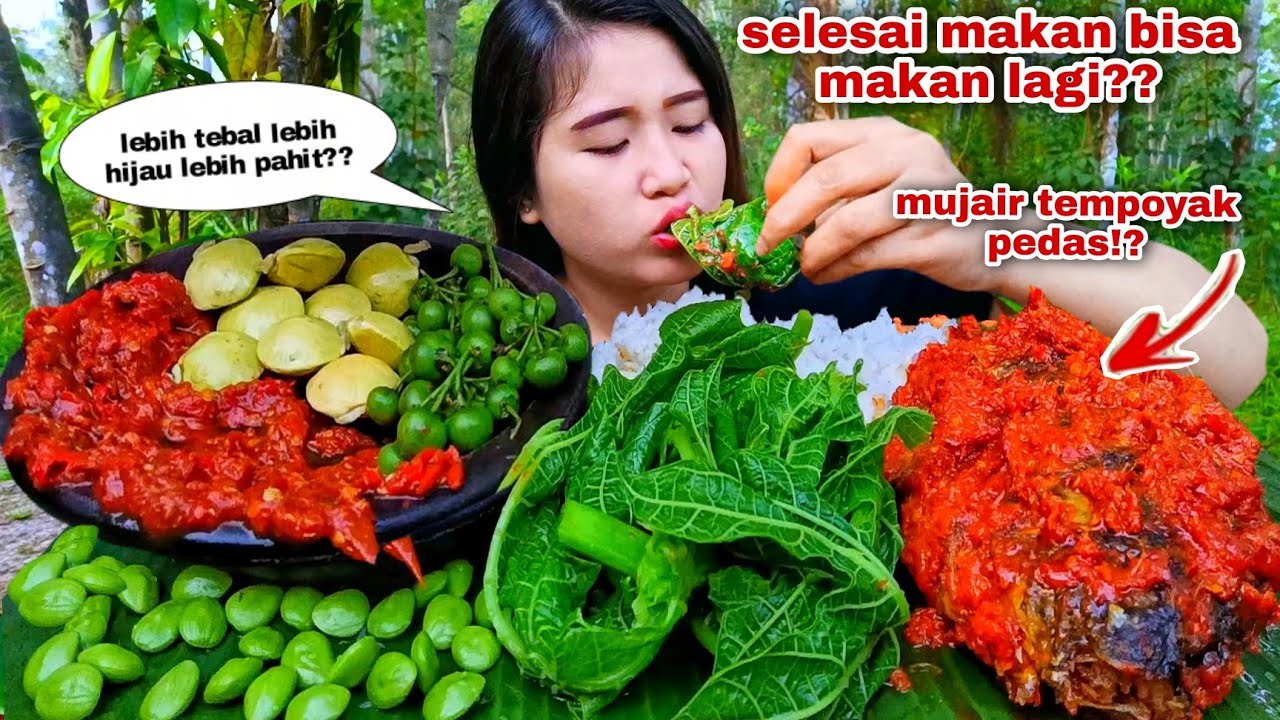 TERLALU NIKMAT❗ MAKAN REBUSAN DAUN PEPAYA MUJAIR SAMBEL TEMPOYAK LALAPAN MENTAH JENGKOL PETE LEUNCA