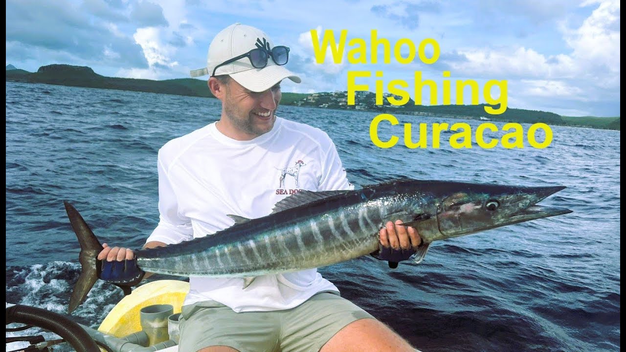 Hooked on a Rocket Fish in Curacao 🌴🎣Deep Sea Fishing Charter Curacao