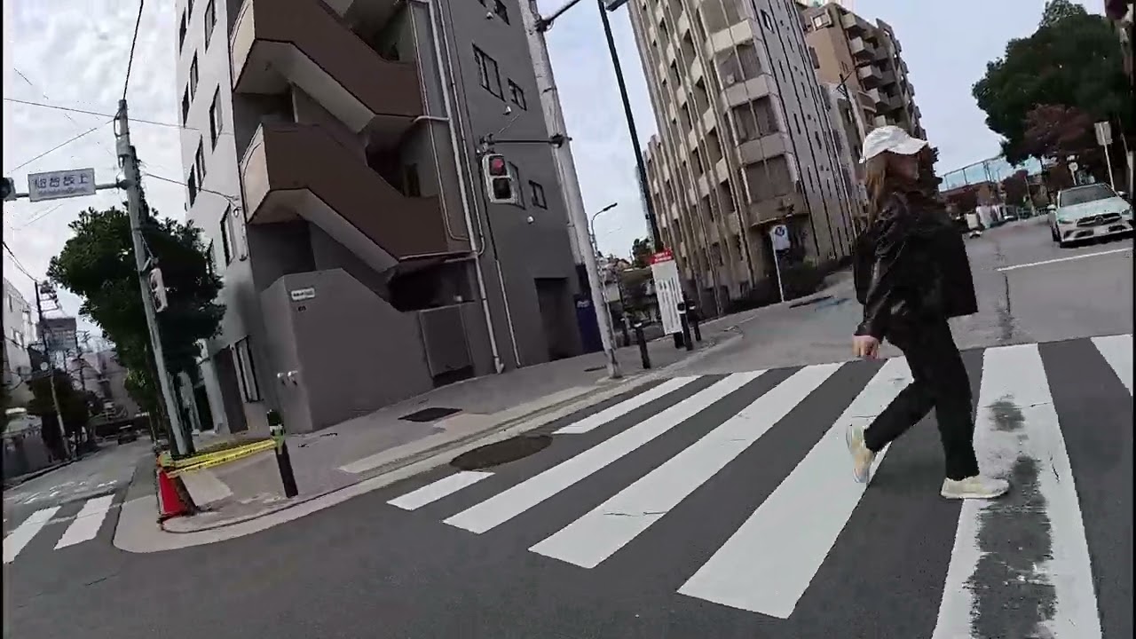 Ride Around Central Tokyo