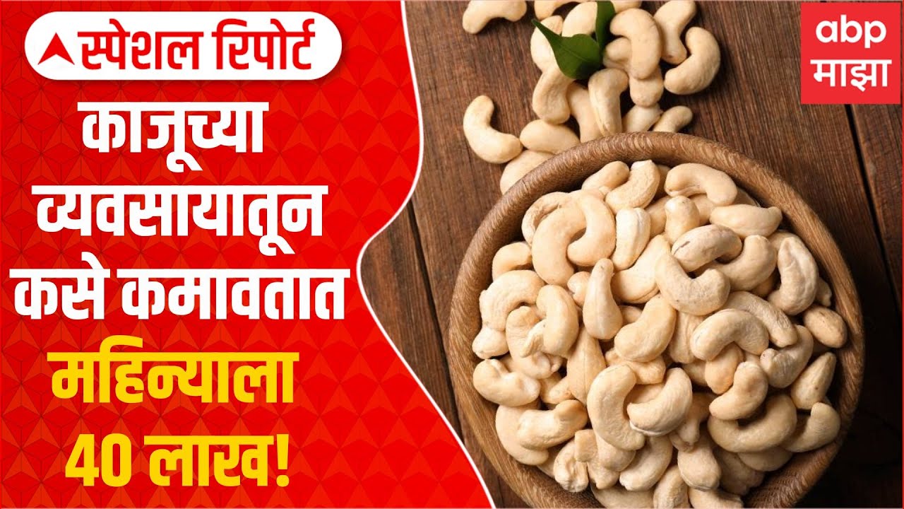 Cashew Nuts Business Special Report : काजूच्या व्यवसायातून महिन्याला 35 ते 40 लाख नफा, जाणून घ्या