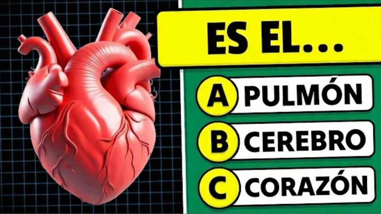 🤔 ¿Cuánto SABES del CUERPO HUMANO? 🫀🦴🫁 | 50 Preguntas ✅ | PlayGo - Trivia