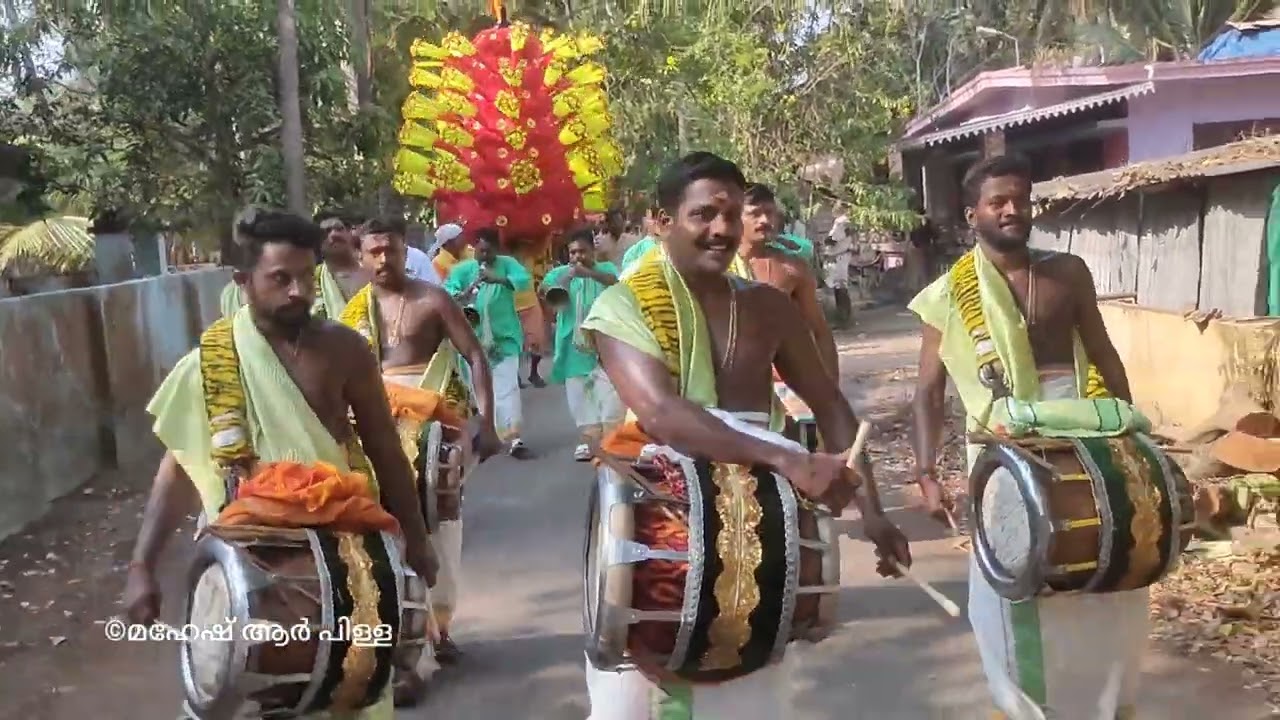 നീലക്കുയിലെ ചൊല്ലു തയ്യൂർ ബ്രദേഴ്&zwnj;സ് thayyur brothers 😍#nadaswaramthavil#harippad#2023#thaipooyam