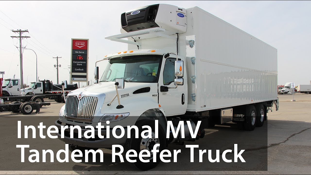 International MV Tandem Axle Reefer Truck | Maxim Truck & Trailer