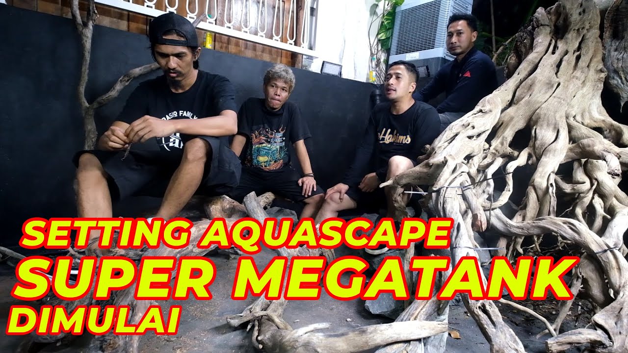 #EPS27 SETTING AQUASCAPE SUPER MEGATANK DIMULAI
