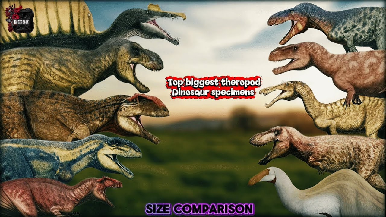 Biggest Theropod Specimens Size Comparison