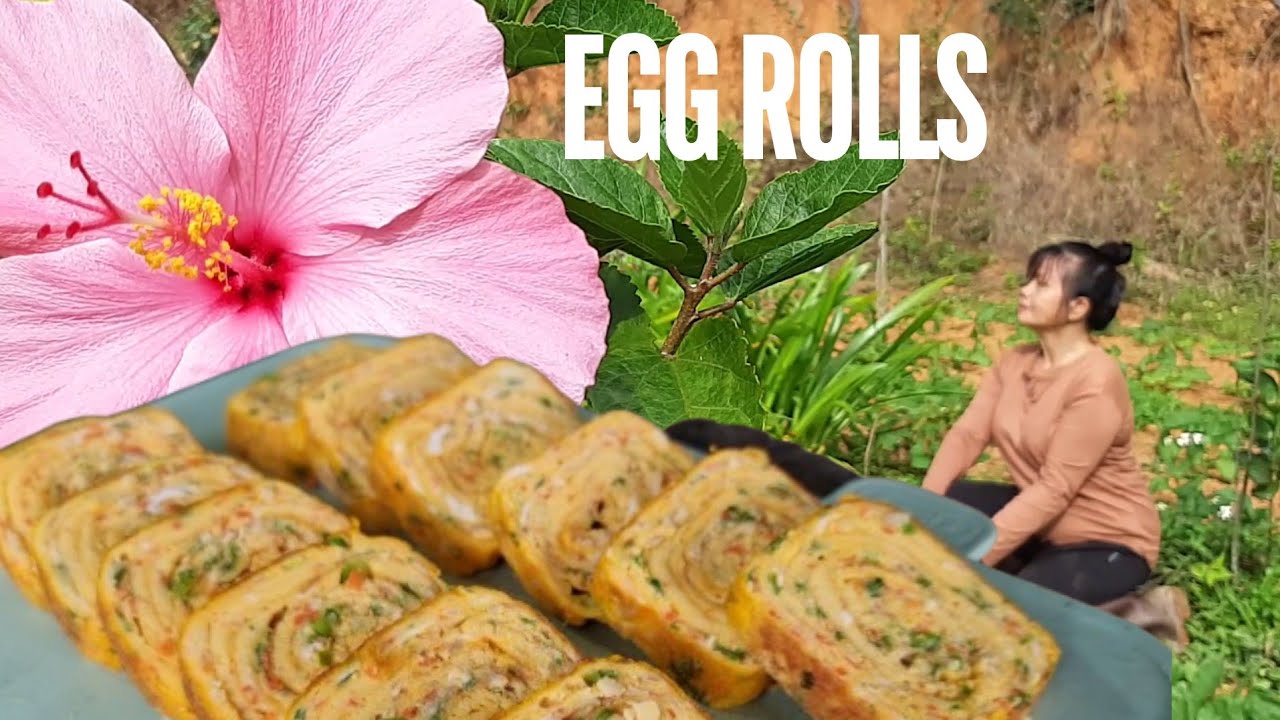 Mai huong Food | 49 days growing organic radish, harvest, make salted radish rolled with egg