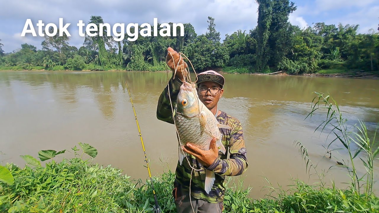 Doa sahabat2 semua termakbulkan | rezeki ikan mahal size monster #wms-380