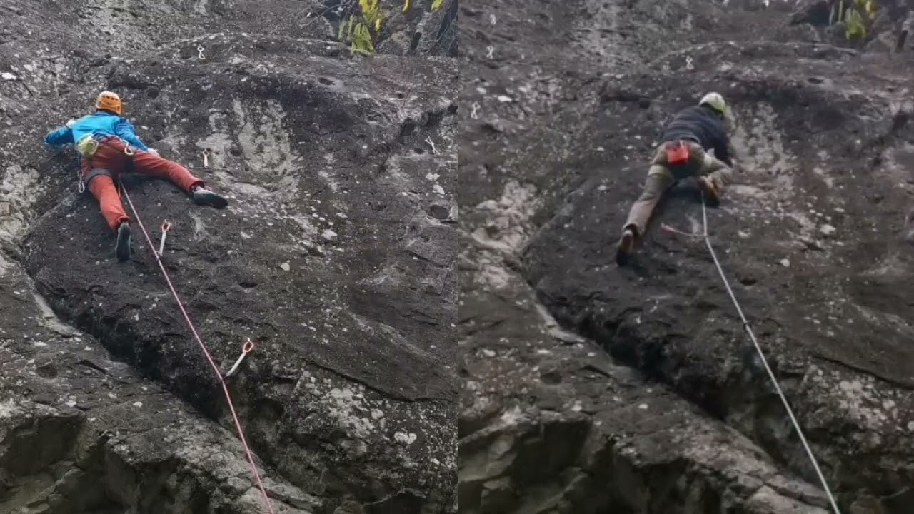 城山ブラウンシュガー 比較動画