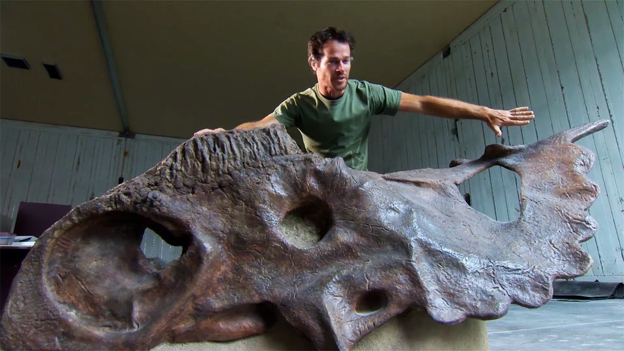 The Real Jurassic Park: How We Found 25 New Species in the Badlands