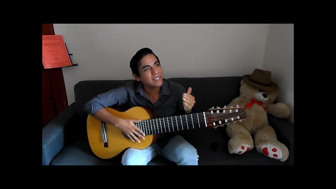 Guitarra de 10 cuerdas y sus afinaciones (10-string guitar tuning)