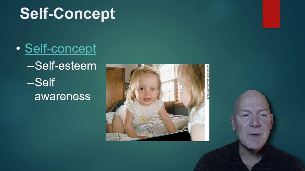 AP Psychology Unit 9 Development Part 3