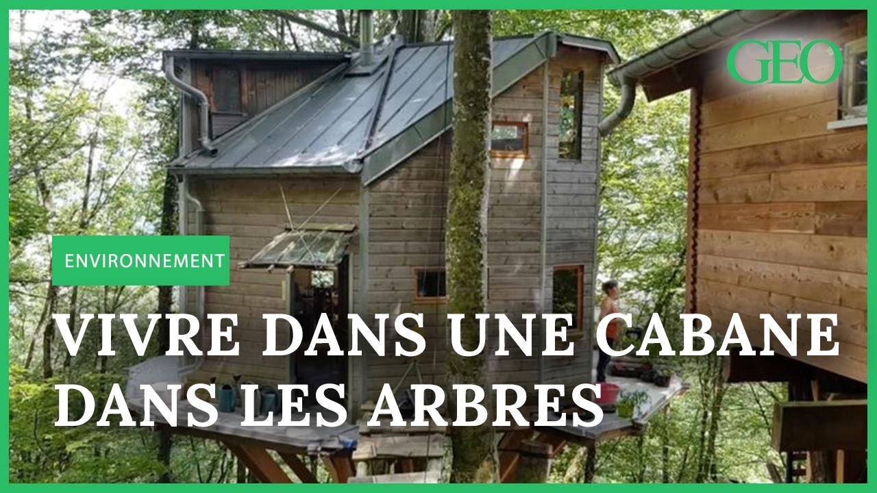 Vivre dans une cabane perchée dans les arbres, le rêve devenu réalité d'un Français