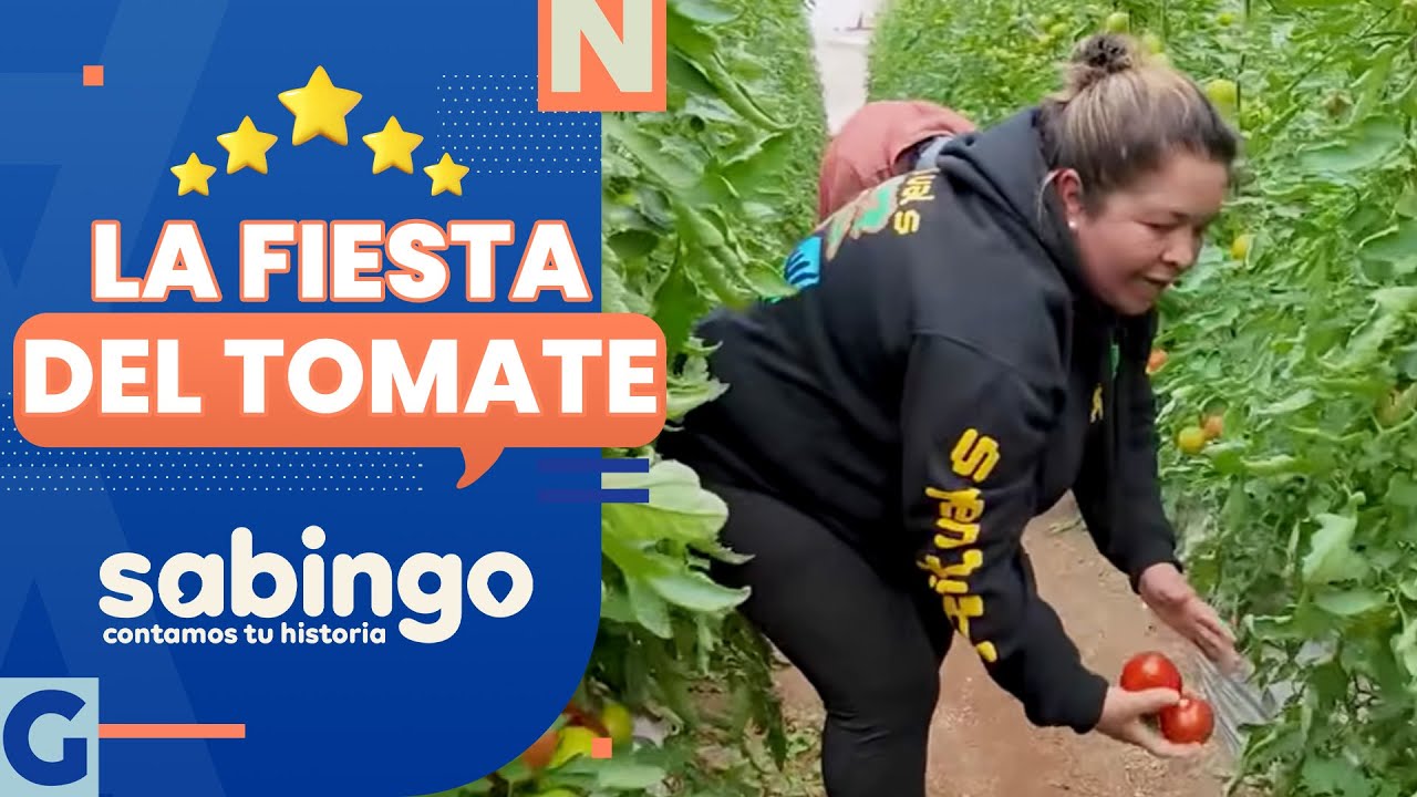 ¡TOQUE DE CHILENIDAD! La fiesta del tomate en Olmué | Nos fuimos al chancho